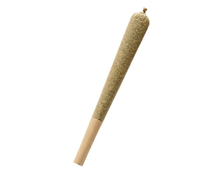 A single pre-rolled cannabis joint with a brown paper filter, crafted with premium CBD, displayed on a plain white background.