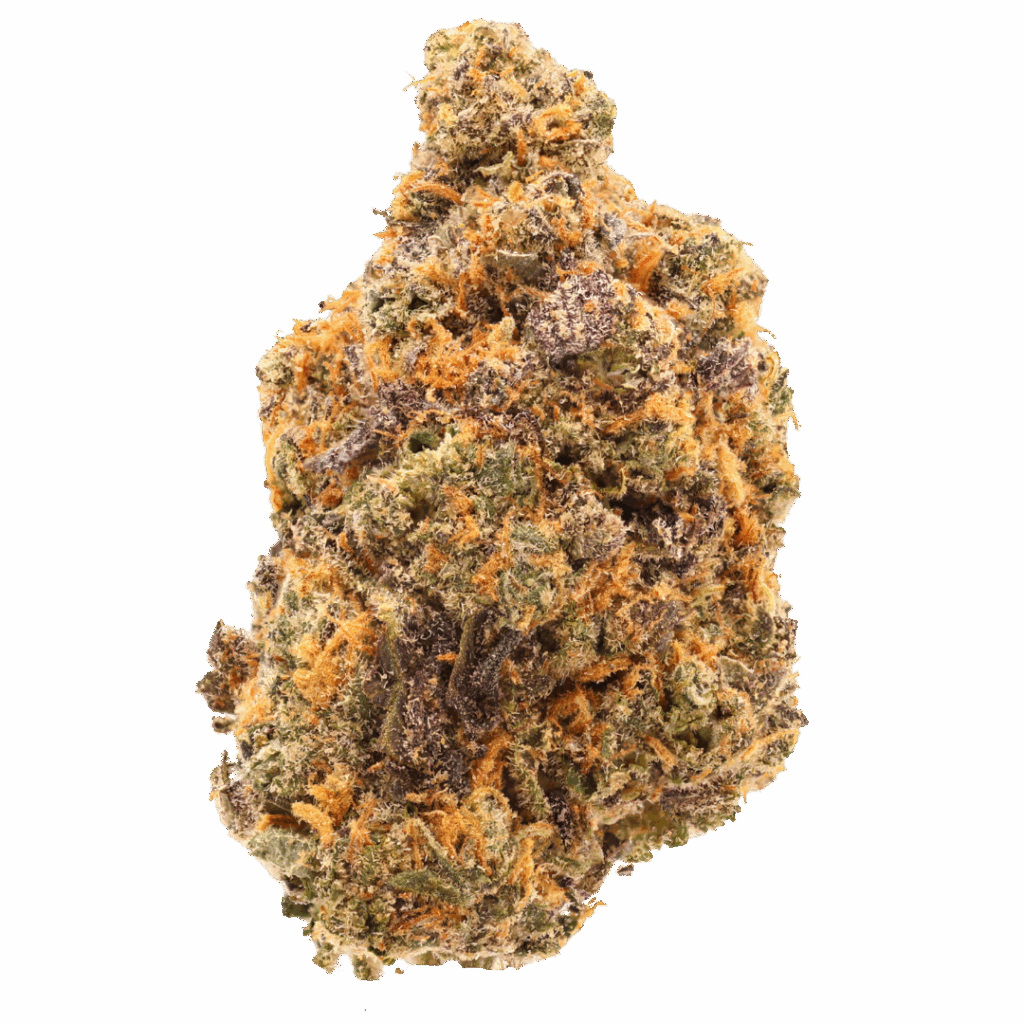 A close-up of a cannabis bud displaying green, orange, and purple hues with a frosty coating of trichomes on a white background.