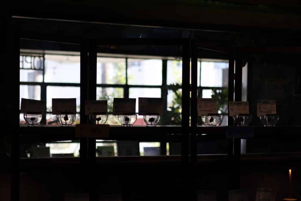 Glass bowls with labeled cards are displayed on shelves in front of a large window, with light streaming in from outside and plants visible in the background.