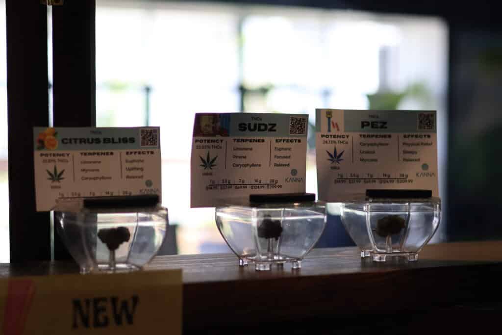 Three small cannabis samples in clear containers are displayed on a shelf with informational cards above each, detailing strain names, potency, terpenes, and effects.