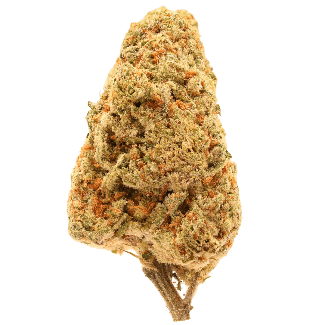 White Guava THCa - Hybrid - 7g