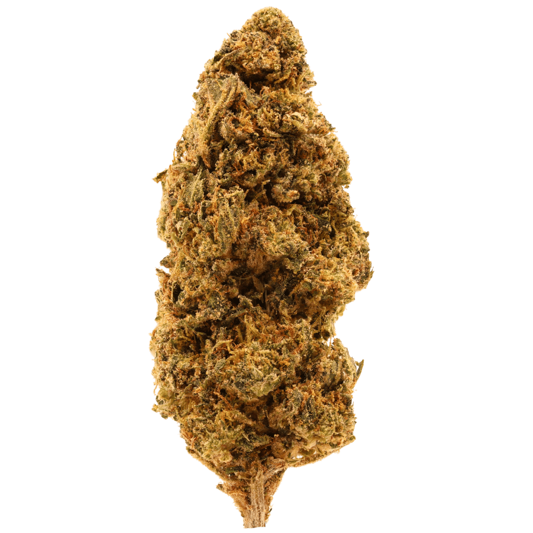 Animal Sherb Mintz THCa - Indica - Regular - 7g