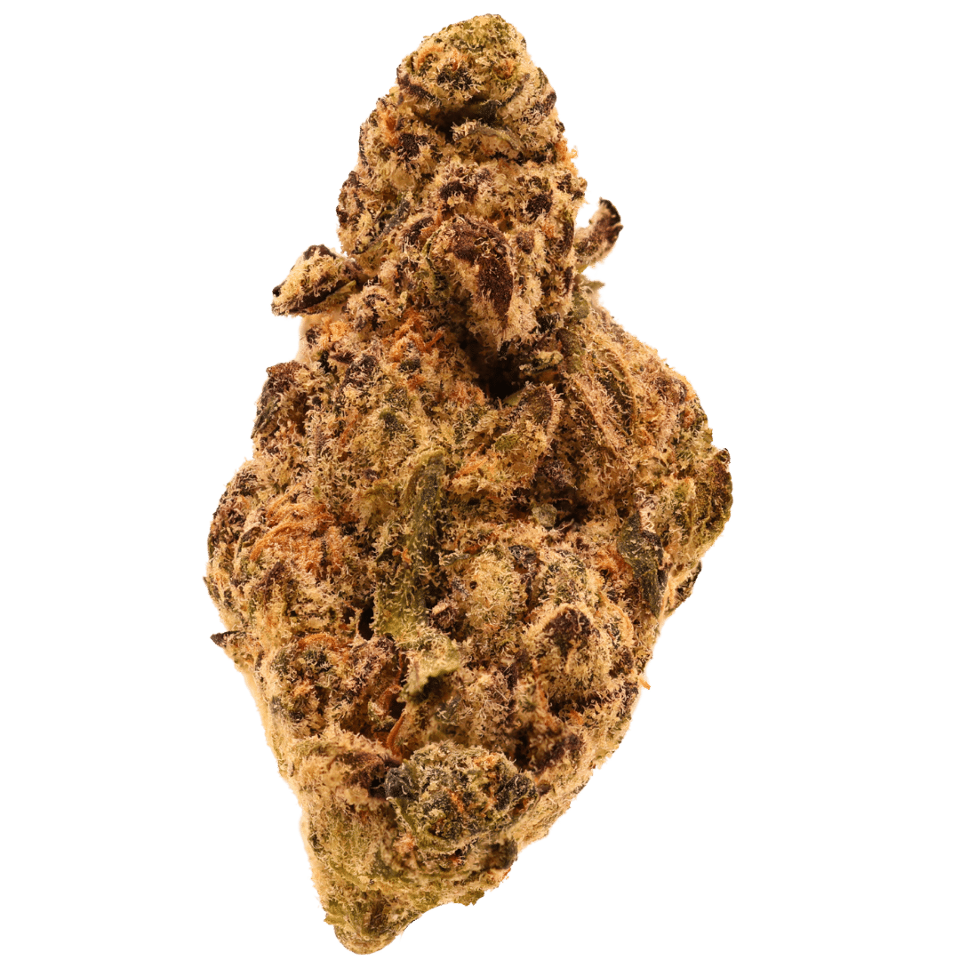 Gello Top Shelf THCa - Hybrid - TSL - 1g