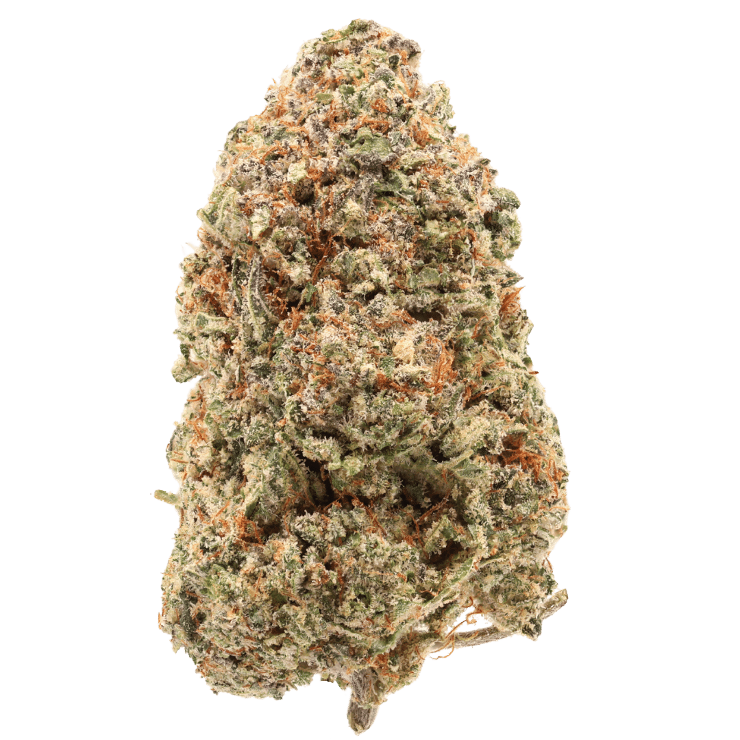 Pineapple Express THCa – Sativa – Regular – 14g