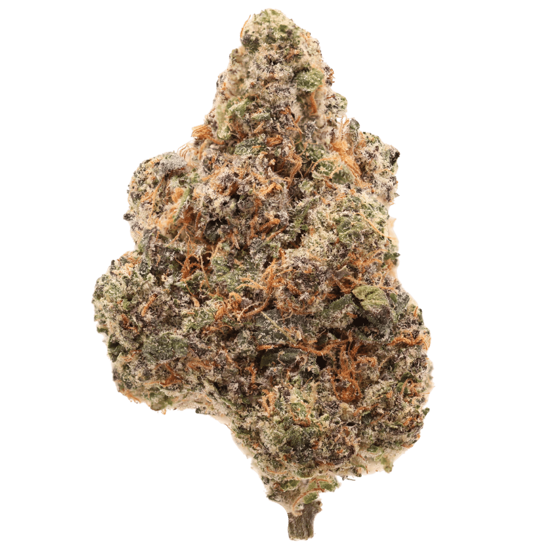 Fight Nite Exotic Top Shelf THCa - Sativa - Exotic TSL - 1g