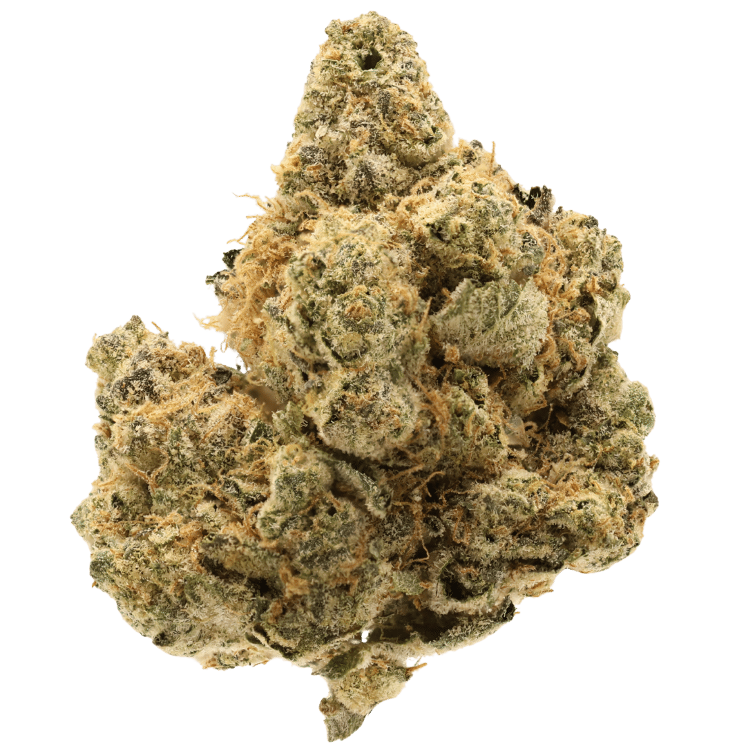 Mango Fire THCa - Sativa - Regular - 3.5g