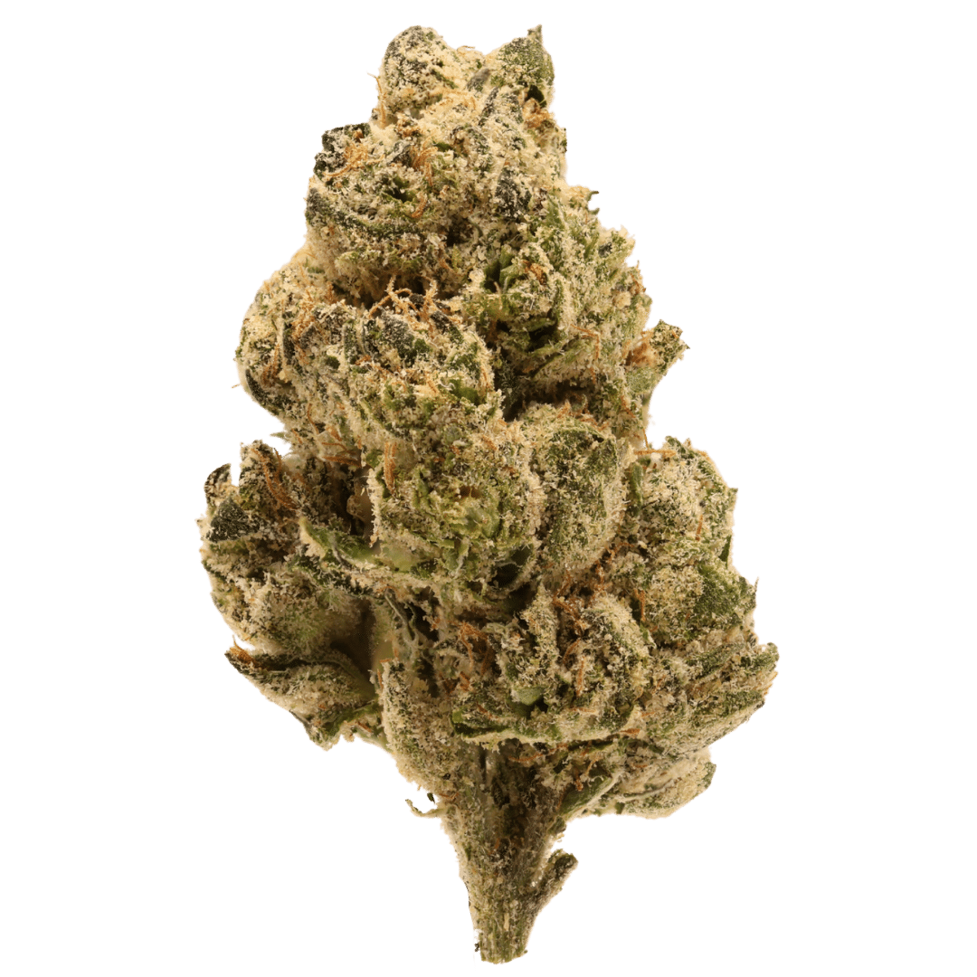 Obama Runtz Exotic Top Shelf THCa – Hybrid – Exotic TSL – 1g