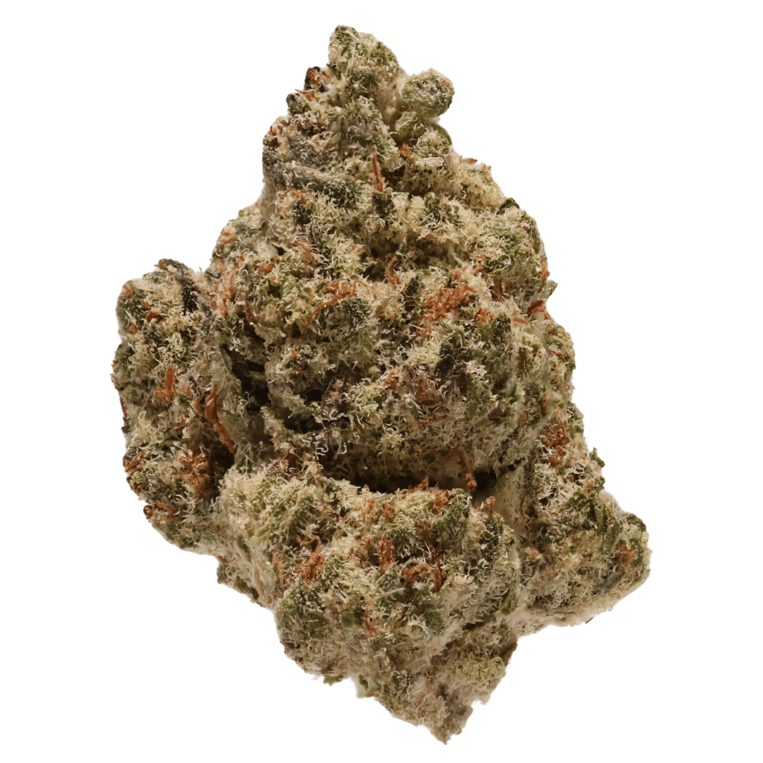 Sherbanger THCa - Sativa - Regular - 3.5g