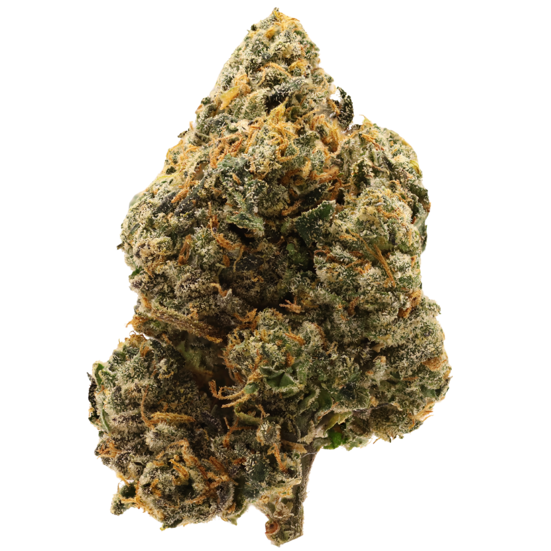 Daytona Top Shelf THCa - Sativa - 1g